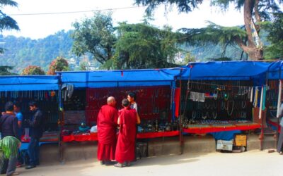 Marooned in a Sea of Monks: Seeing the Dalai Lama in Dharamsala